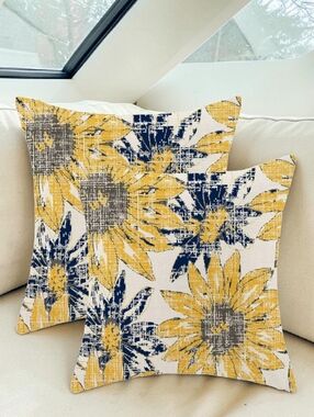 Decorative Pillow Covers, Set Of 2!